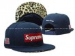 2014新作 人気商品 SUPREME シュプリーム 帽子