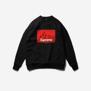 プルオーバーパーカー  個性的なデザ 2色可選  17SS undercover×Supreme