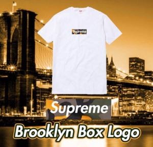 シュプリーム SUPREME 2017春夏2色可選 耐久性に優れ 半袖Tシャツ人気 ランキング