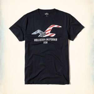 2色可選 2018年トレンド アバクロンビー&フィッチ Abercrombie & Fitch 半袖Tシャツ デイリーに使いたい!