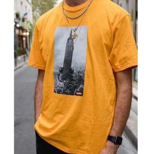 シュプリーム SUPREME 半袖Tシャツ 3色可選 19春夏最新モデル 今年のトレンドカラー